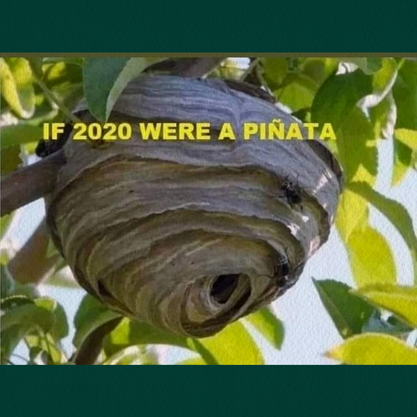 If 2020 Was A Pinata
